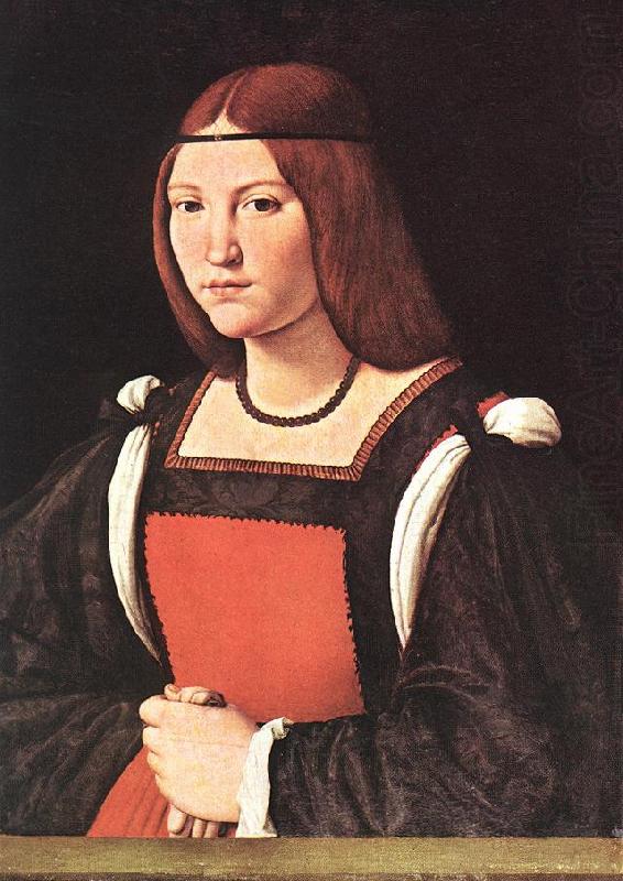 BOLTRAFFIO, Giovanni Antonio Portrait of a Young Woman 55 china oil painting image